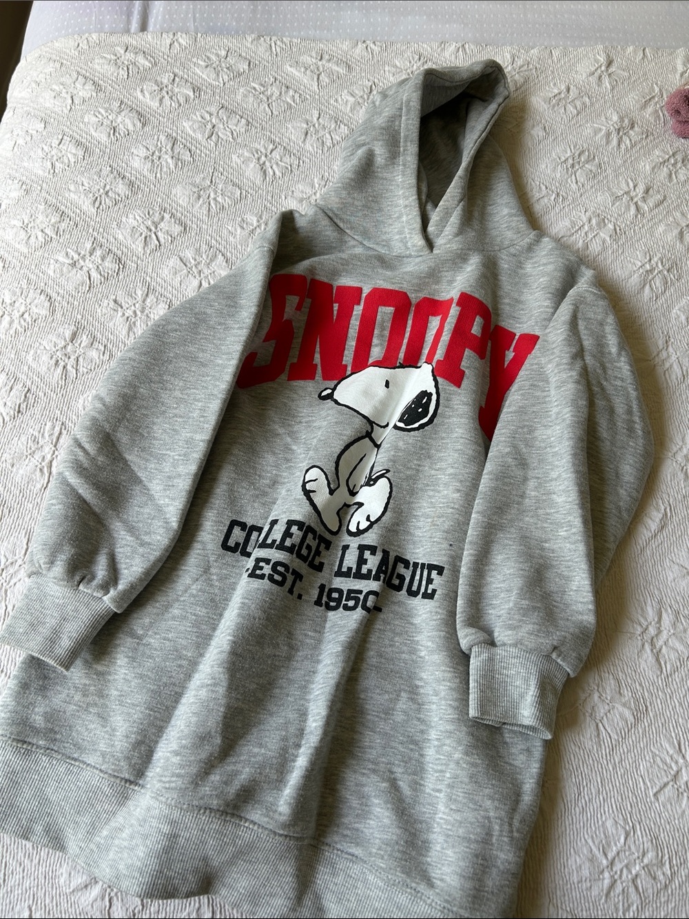 Zara Grey Hoodie with Red Graphic